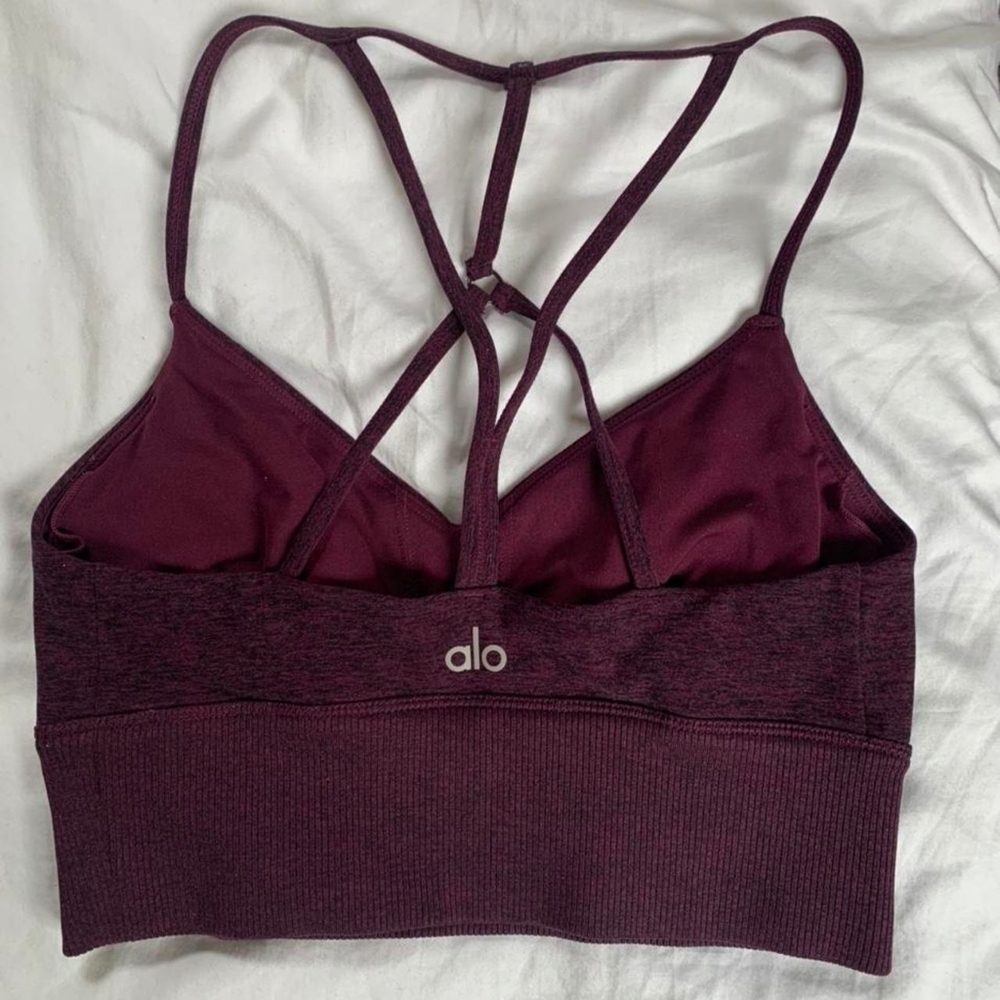 Women's Burgundy and Purple Crop-top